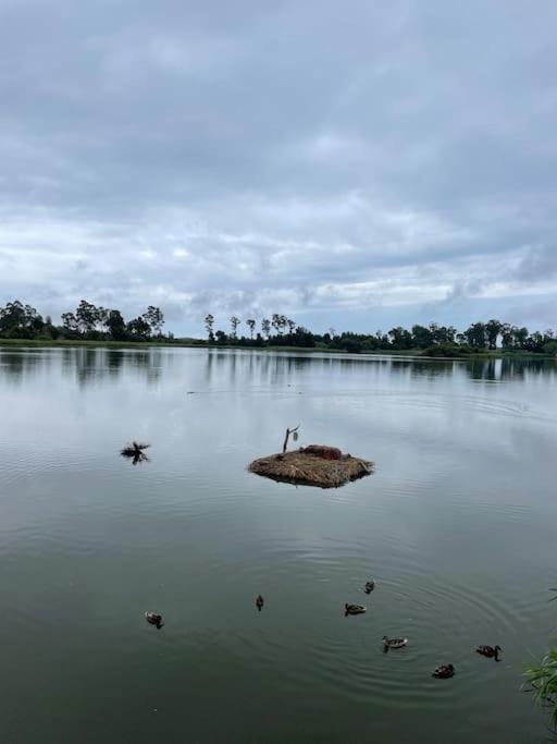 Moradia Alegre No Centro Da Vila Da Tocha. Экстерьер фото
